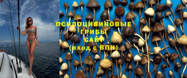 не бодяженный Каменка