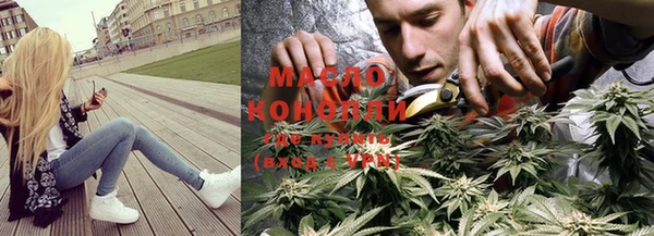 крисы Каменногорск