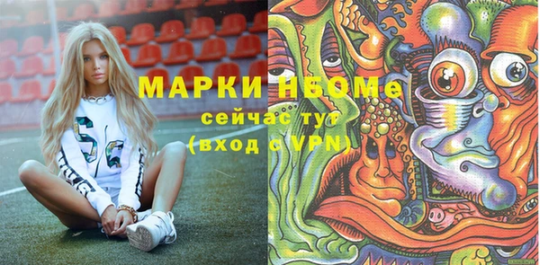 крисы Каменногорск
