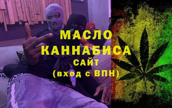 крисы Каменногорск