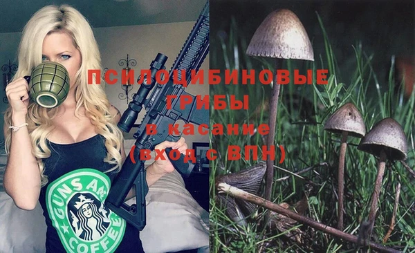 крисы Каменногорск
