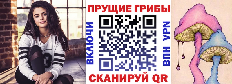 продажа наркотиков  Любань  Галлюциногенные грибы Psilocybine cubensis 